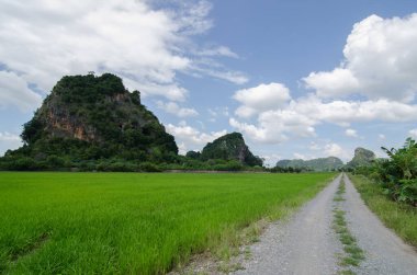 Mavi gökyüzü sırasında Kodiang 'da Padyy alanı