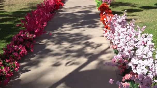 Flor Artificial Vermelha Caminho Jardim — Vídeo de Stock