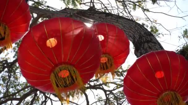 Lanterna Vermelha Pendurada Árvore Com Luz Solar Volta — Vídeo de Stock