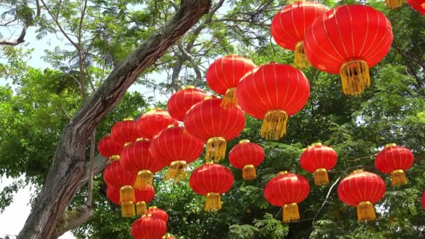 Linterna Roja Con Fondo Árbol Verde Durante Año Nuevo Chino — Vídeos de Stock