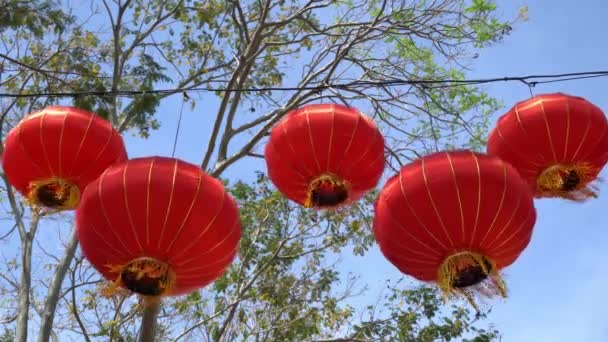 Lanterna Ano Novo Chinês Árvore — Vídeo de Stock