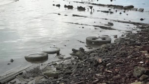 海沿岸の古いタイヤ — ストック動画
