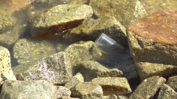 Plastikbecher Von Welle Erfasst Und Felsen Stecken Geblieben — Stockvideo