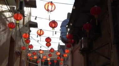 Yılan tapınağındaki kırmızı zarfın yanında yeşil yılan dinleniyor, Penang..