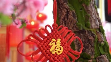 Yılan tapınağındaki kırmızı zarfın yanında yeşil yılan dinleniyor, Penang..