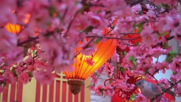 Green Snake Rest Branch Red Envelope Snake Temple Penang — Stock Video