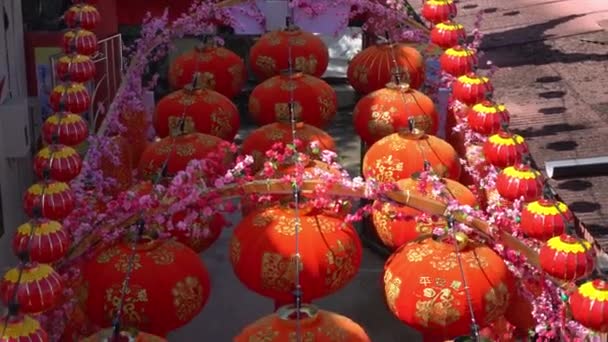 Zelený Had Odpočívá Větvi Vedle Červené Obálky Snake Temple Penang — Stock video