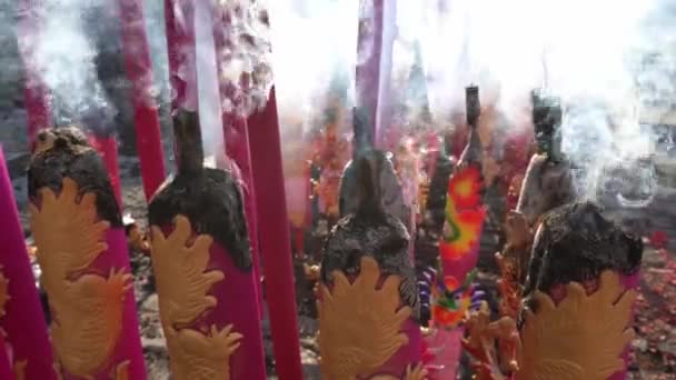 Ular Hijau Beristirahat Cabang Samping Amplop Merah Kuil Ular Penang — Stok Video