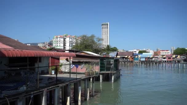 Descanso Serpiente Verde Rama Junto Sobre Rojo Templo Serpiente Penang — Vídeos de Stock