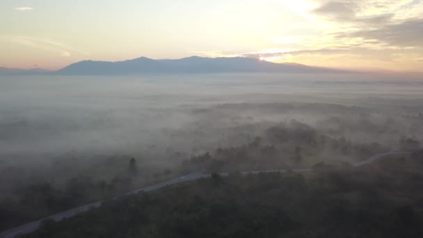 Carro vista aérea passar a estrada perto da floresta em MBI Desaku, Kedah, Malásia . — Vídeo de Stock