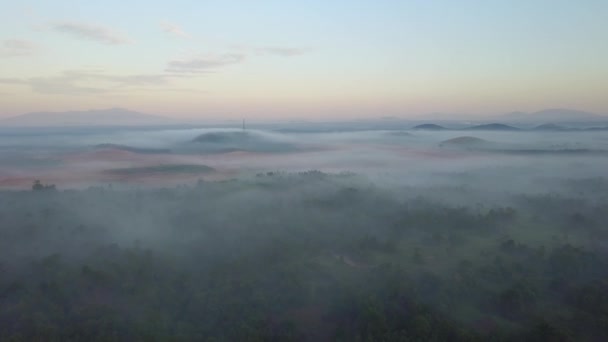 Vista aérea de uma floresta nebulosa. Árvore verde perto da torre de telecomunicações . — Vídeo de Stock