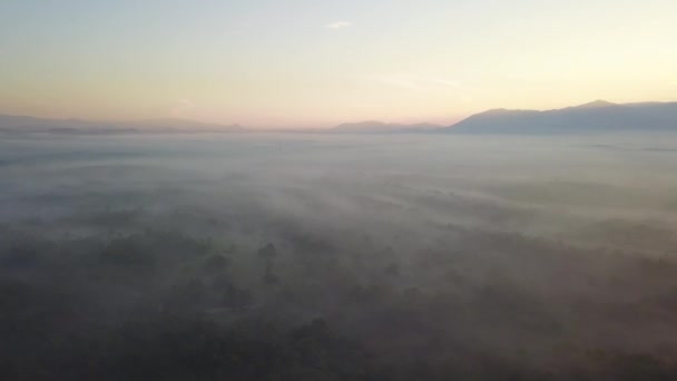 Légi kilátás ködös erdő napsugár diffúz át a Mount Bintang. — Stock videók