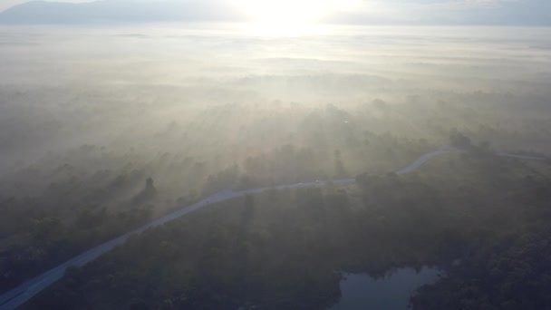 Auto guidare su strada vicino alla giungla sotto la nebbia mattina presto vicino Kulim, Kedah . — Video Stock