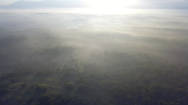 Дрон випалював сонячне світло в лісі туманним туманом поблизу Куліма (Кеда, Малайзія).. — стокове відео