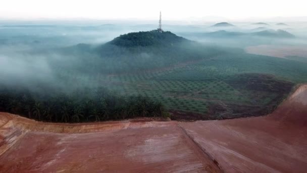 Vista aérea voar em direção a torre de telecomunicações cercada por plantação de petróleo . — Vídeo de Stock