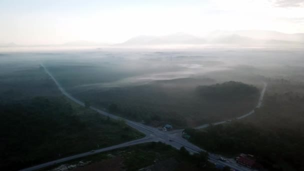霧の朝のプランテーションの近くの横断道路での空中ビューカードライブ. — ストック動画