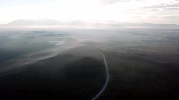 Drone tiro carro na estrada perto na manhã de nevoeiro . — Vídeo de Stock