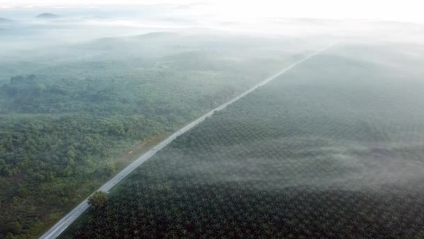 Flygfoto bil på vägen i dimmig dimmig morgon nära MBI Desaku, Kulim. — Stockvideo