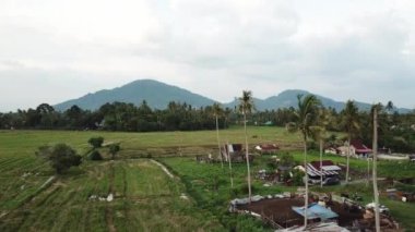 Malezya, Penang 'daki küçük bir köyün kırsal kesiminde havadan çekim yapıldı..