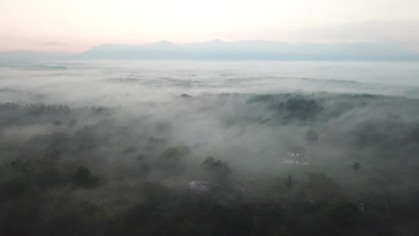 Mlhavá mlha ráno na plantáži poblíž MBI Desaku, Kedah, Malajsie. — Stock video