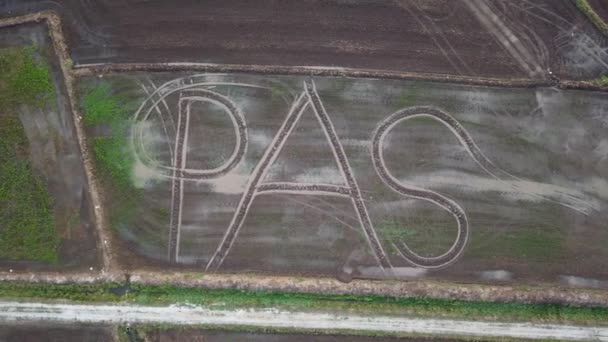 Aerial view PAS word at the paddy field at Penang, Malaysia. — Stock Video