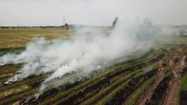 Ateş, Güneydoğu Asya 'da duman salınımına yol açtı.