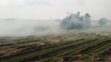 Ateş açılması Güneydoğu Asya 'da çevre felaketine yol açtı.