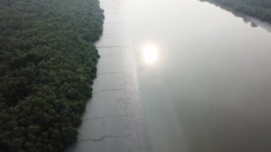 Mangrov ormanının üzerinden uç, suda güneş yansıması ile..