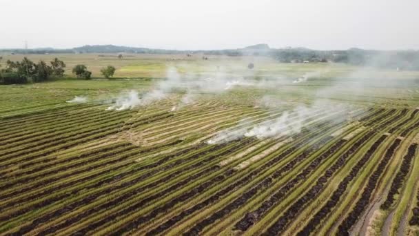 Aerial shot open fire at Malaysia at Southeast Asia. — Stock Video