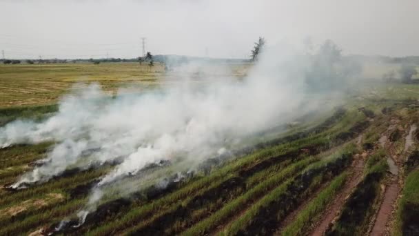 Un feu ouvert provoque des émissions de fumée en Asie du Sud-Est .