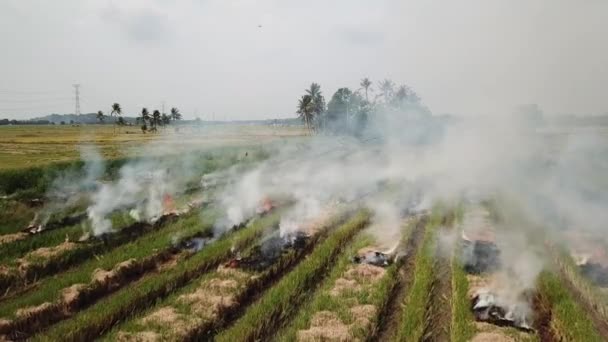 Fogo aberto no campo causa emissão de fumaça no Sudeste Asiático . — Vídeo de Stock