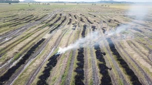 Emisión de humo debido al fuego abierto de los agricultores en Malasia . — Vídeos de Stock