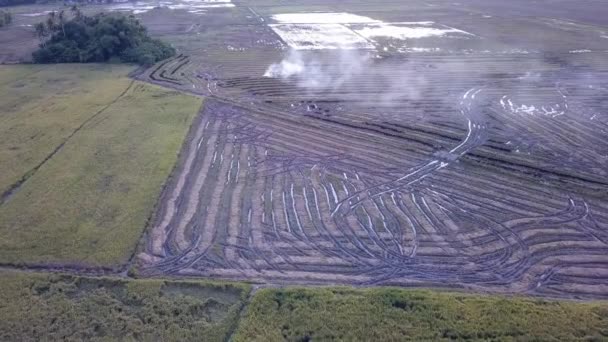 Vista aérea fuego abierto en el campo en Malasia . — Vídeos de Stock