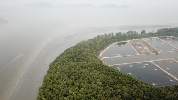 Bateau naviguer en mer près de la ferme piscicole et la forêt de mangroves en Malaisie, Asie du Sud-Est . — Video