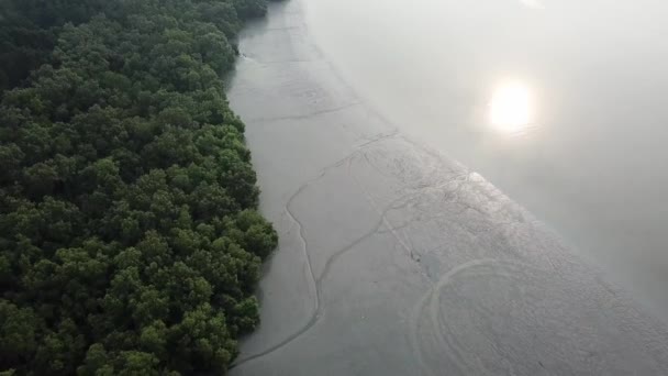 Volar sobre el bosque de manglares durante la marea baja durante la tarde en Malasia . — Vídeo de stock