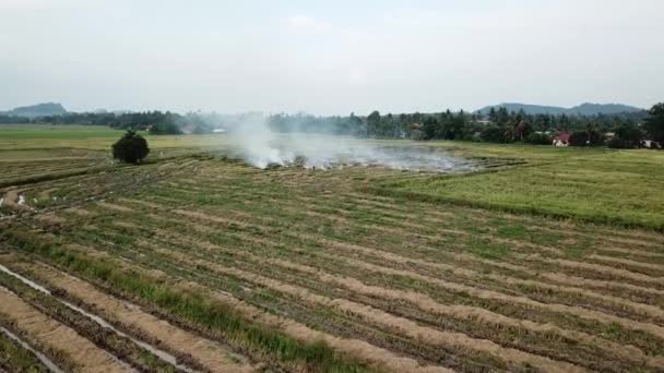 Fly towards open burning field at Malaysia, Southeast Asia. — Stock Video