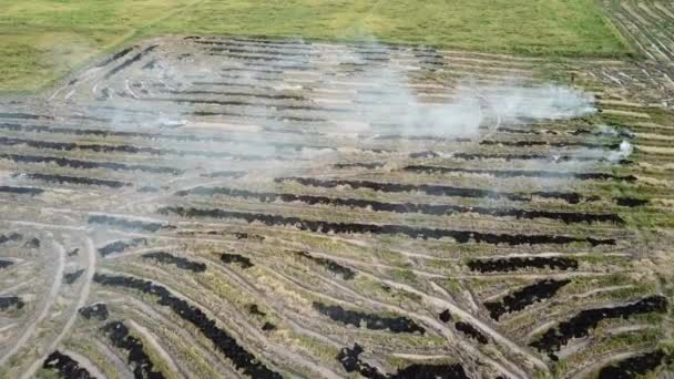 Open vuur in het veld verbrand veld en laat witte rook vrij in Maleisië. — Stockvideo