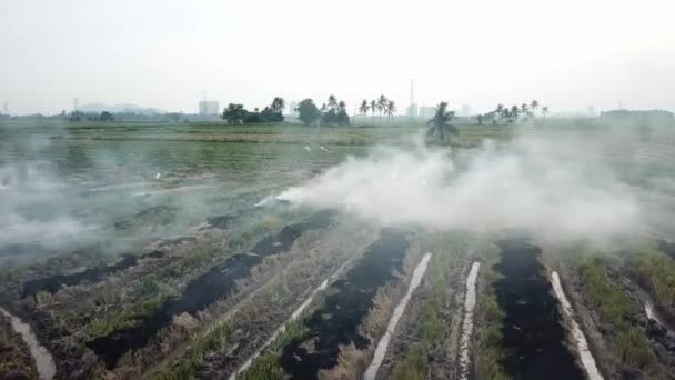 Открытый огонь и выброс белого дыма создают проблему в Малайзии . — стоковое видео