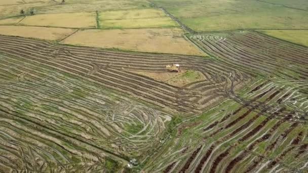 Petani memanen padi di sawah dengan pemanen di Malaysia. — Stok Video