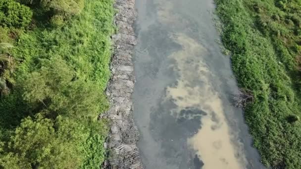 Letecká tmavá řeka z půdy po řece rozšiřující se v Malajsii, jihovýchodní Asii. — Stock video