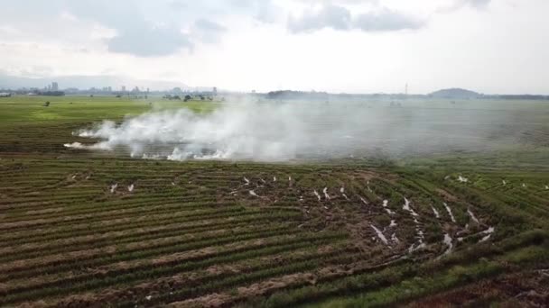 Envolez-vous au-dessus d'une rizière en feu ouvert au village malais, Asie du Sud-Est .