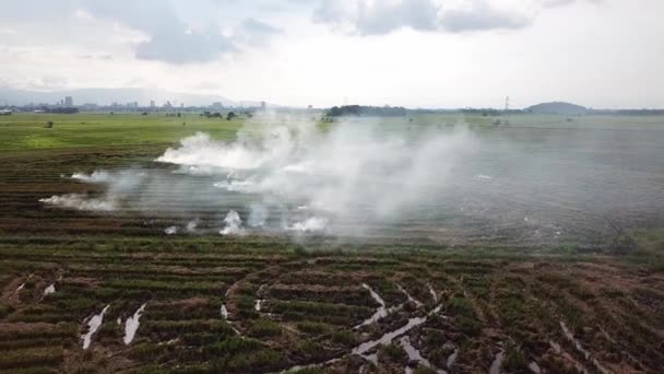 Katastrophen-Reisfeld offenes Feuer in malaiischem Dorf in Südostasien. — Stockvideo