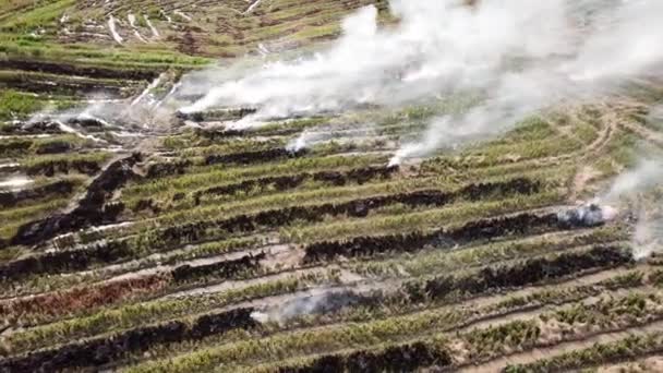 Воздушный открытый огонь происходит на ферме Пэдди, чтобы очистить растраты сбора урожая . — стоковое видео