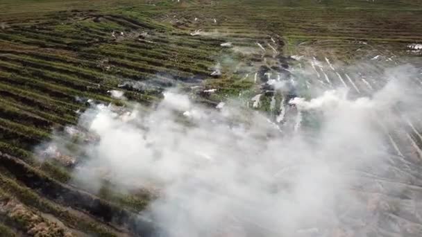 Farmer set fire on the field at Malaysia. — Stock Video