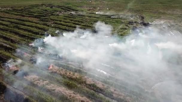 Boer ruimt het afval op door open vuur. — Stockvideo