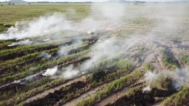 Flygfoto öppna eld av jordbrukare i fält i Malaysia. — Stockvideo