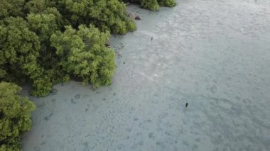 Asya 'nın açık gagalı yürüyüşü nedeniyle ayak izleri Penang, Malezya' da bataklıkta..