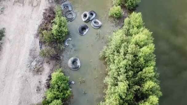 Pneumatico gettato sulle zone umide vicino all'albero di mangrovie a Batu Kawan, Penang, Malesia . — Video Stock