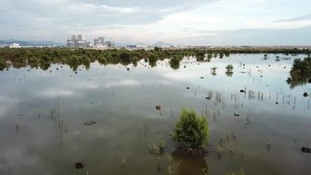 Pantano de manglares y desarrollo de viviendas en Batu Kawan, Penang, Malasia . — Vídeos de Stock