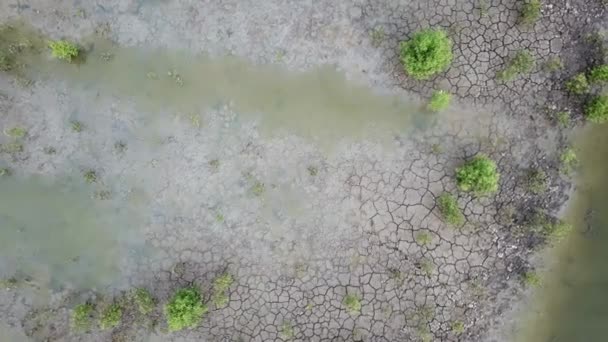 Dry crack land at wetlands at Batu Kawan, Penang, Malaysia. — Stock Video